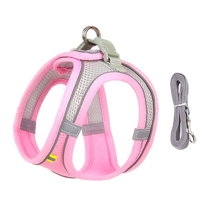 Harness Leash Set for Dogs