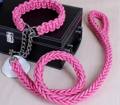 Stylish Durable Leash Set For Large Dogs