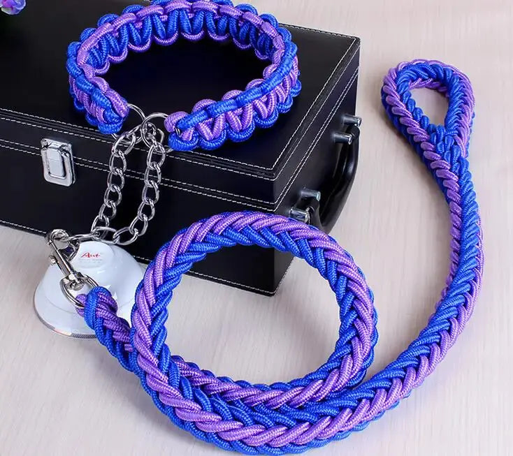 Stylish Durable Leash Set For Large Dogs