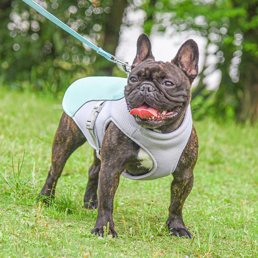 Cooling Vest for Pets